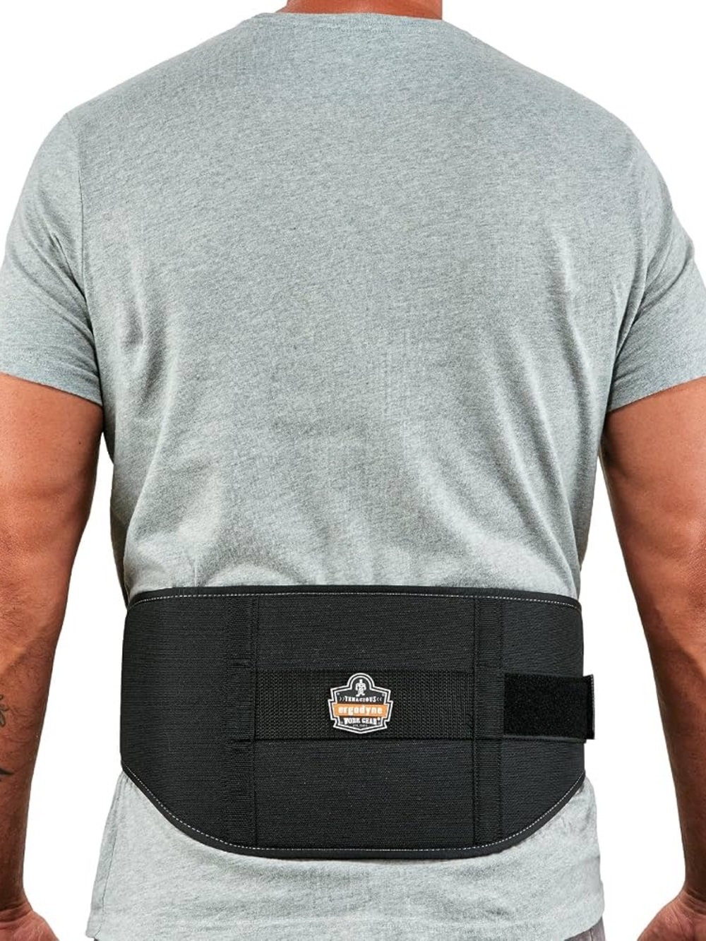 NEW! Ergodyne Proflex #1650 Economy Back Support Brace Black Size Large